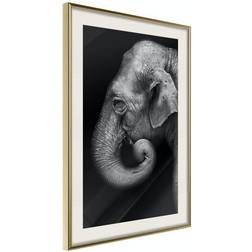 Arkiio Affisch Portrait of Elephant [Poster] 30x45 Poster